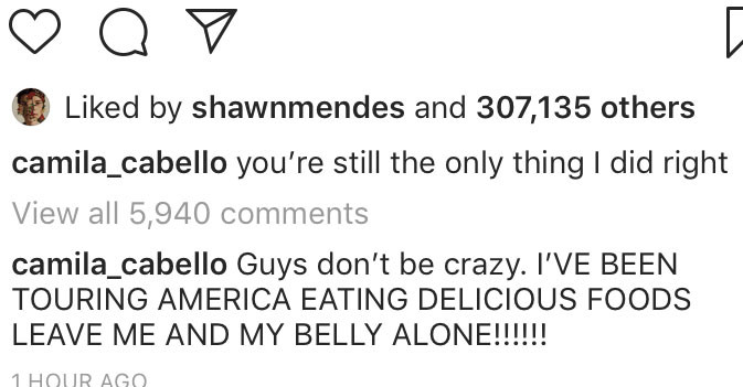 Camila Cabello, Instagram, Comment